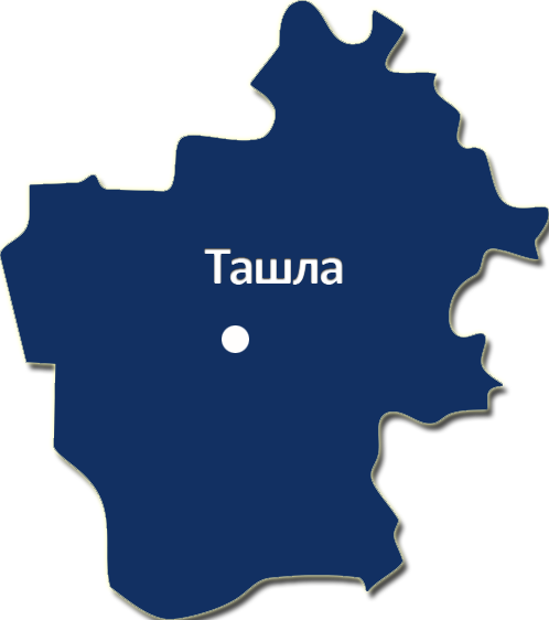 Карта ташлинского района оренбургской области. Ташлинский РУЭС. Герб Ташлы. Герб Ташлы Ташлинского района.